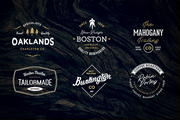 12 Typography Based Vintage Logos in Templates - product preview 3