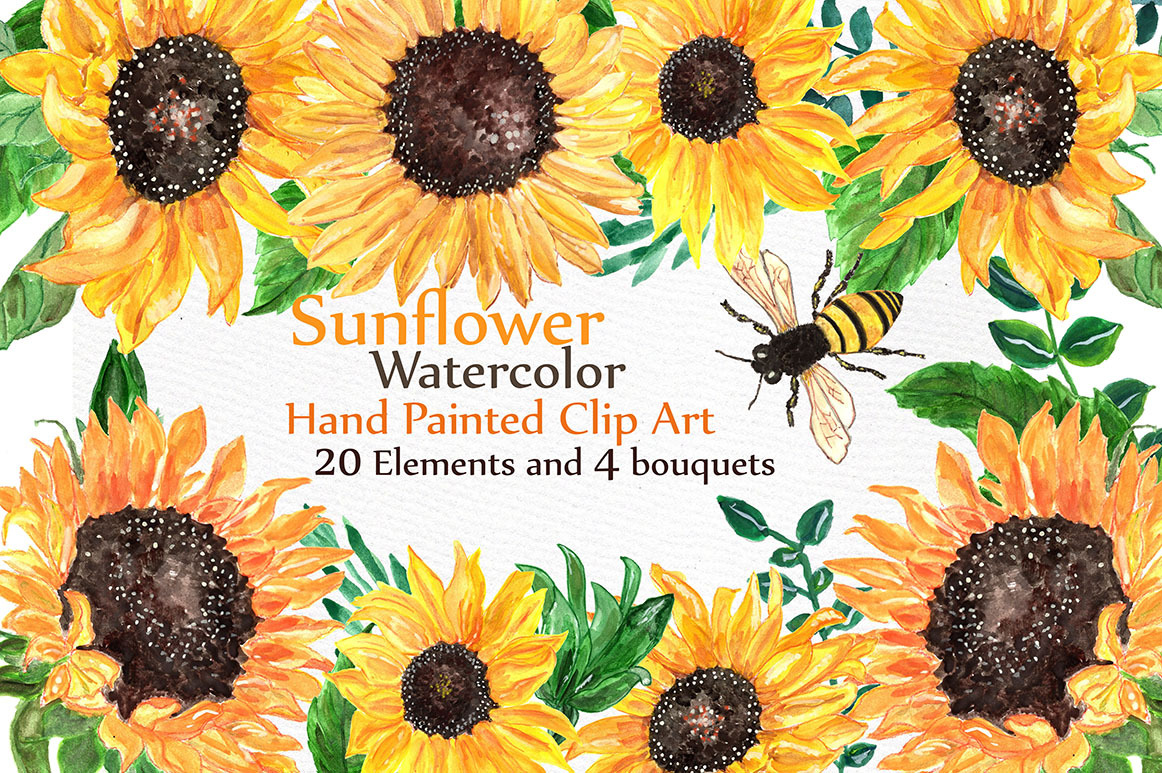 Watercolor sunflowers clipart ~ Illustrations ~ Creative ...