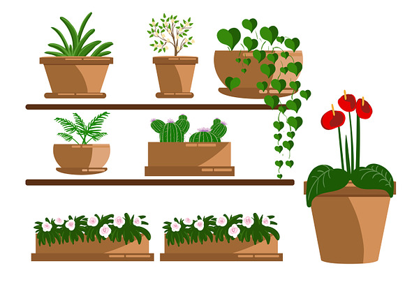 Set of houseplant. isolated on white in Illustrations - product preview 1