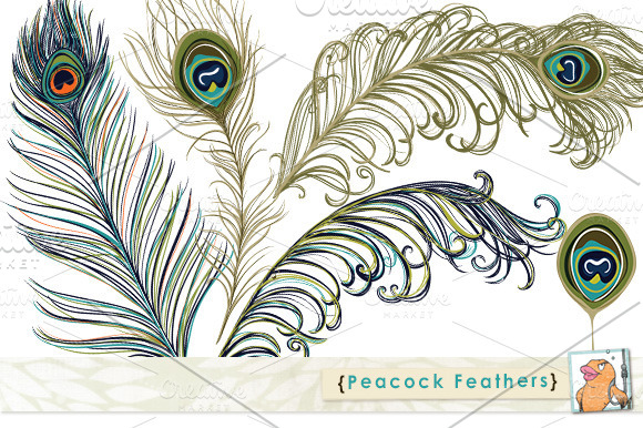 clipart pictures peacock - photo #43