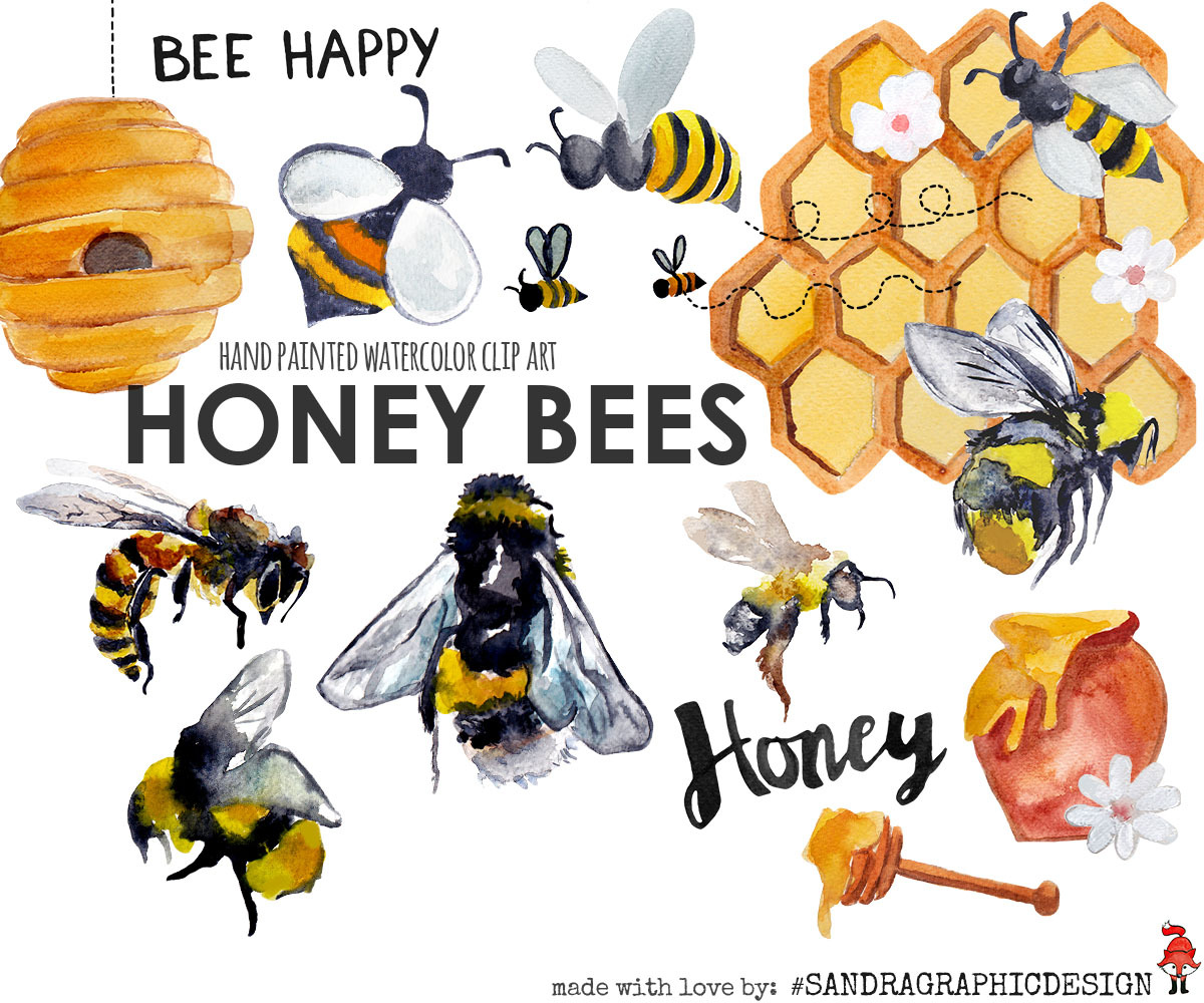 Honey bees watercolor clipart ~ Illustrations ~ Creative ...