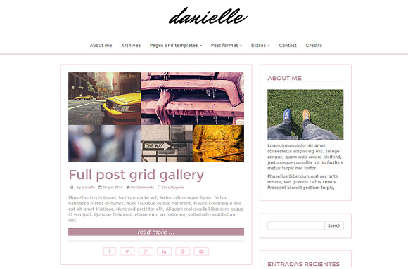 Danielle - blog wordpress theme in WordPress Blog Themes - product preview 2