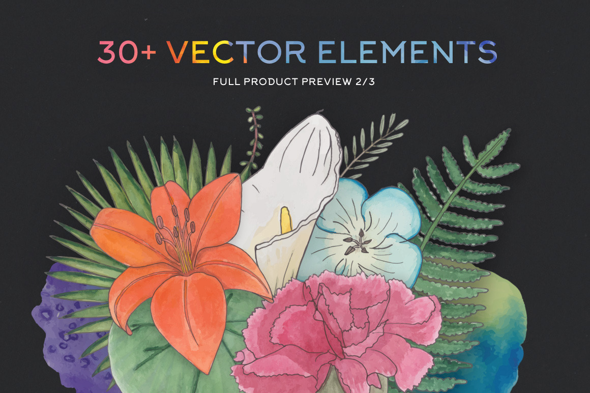 FlorArt Watercolor Kit - Illustrations