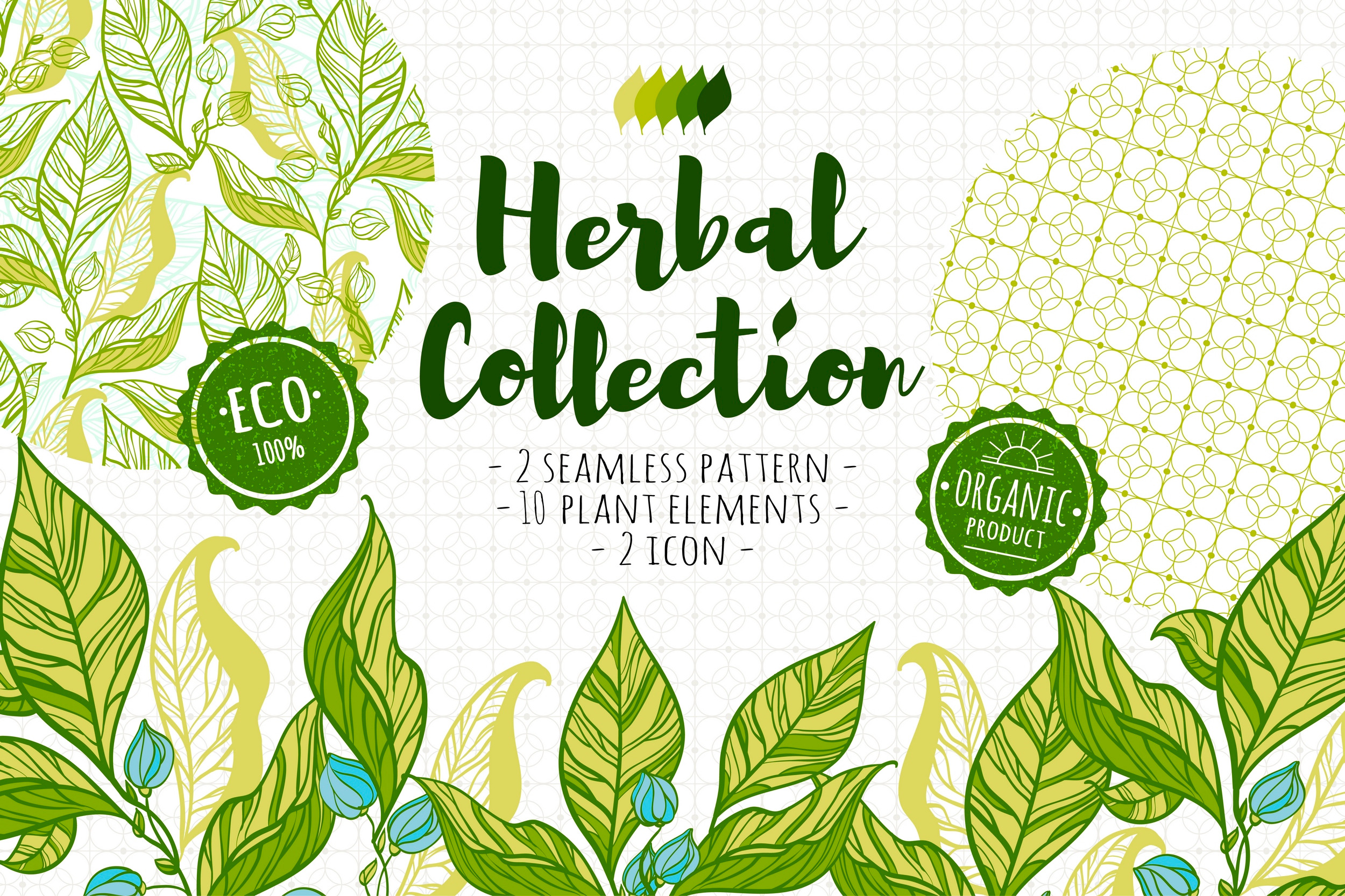 pr-herbal-collection-01-.jpg