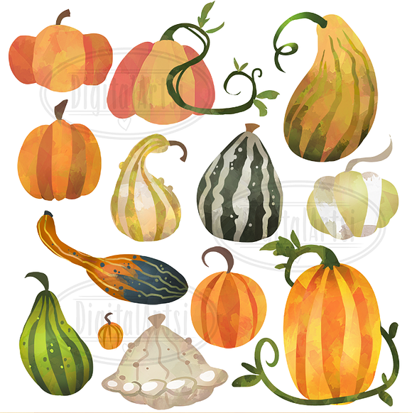 Fall Pumpkins and Gourds Clipart in Illustrations - product preview 1