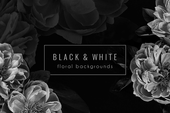 Free Floral Background PNG Stock Photos