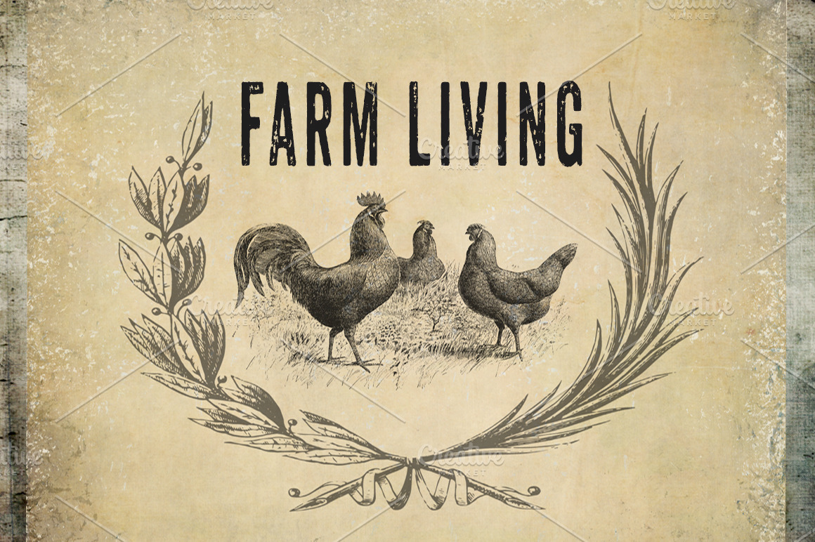 Farm Living Clipart & Backgrounds ~ Illustrations ...