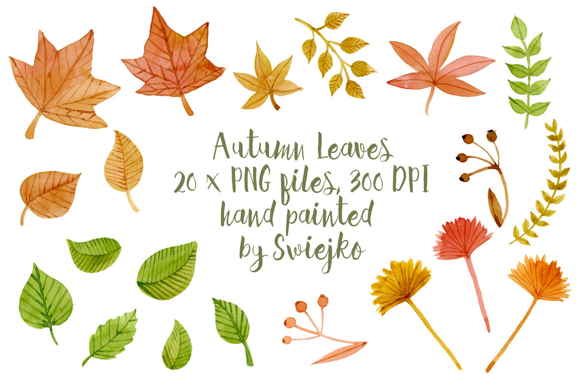 Autumn Leaves, clipart ~ Illustrations ~ Creative Market