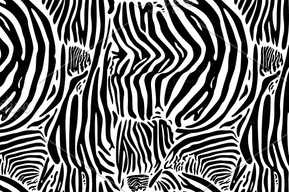 Zebra pattern. Seamless background.  in Patterns