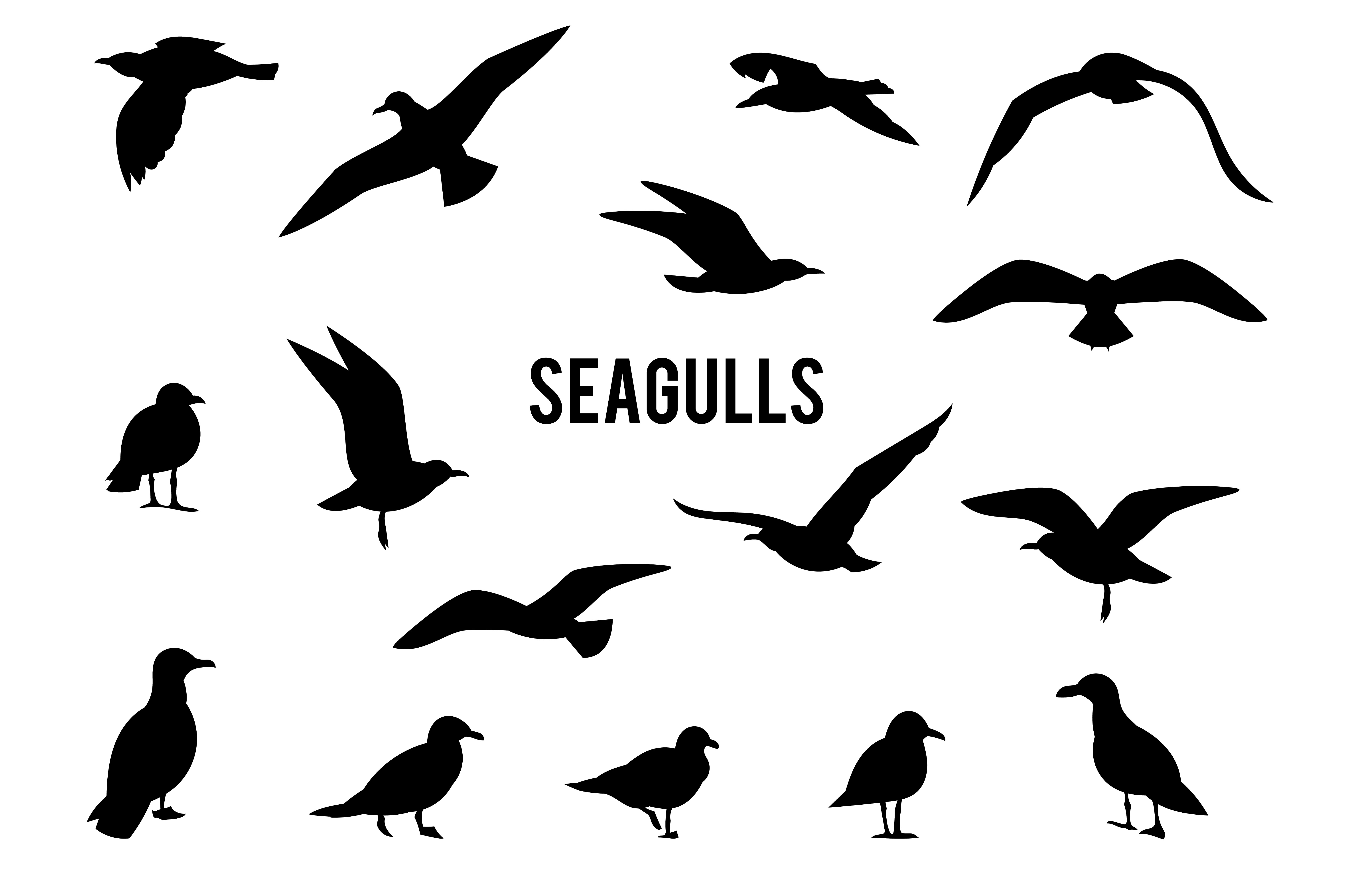Silhouettes of flying seagulls. ~ Graphics ~ Creative Market