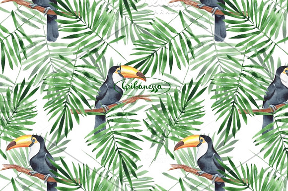 Toucan + Pattern. Watercolor in Illustrations - product preview 1