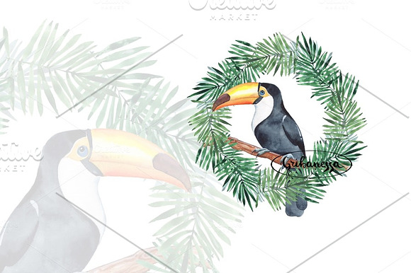 Toucan + Pattern. Watercolor in Illustrations - product preview 2