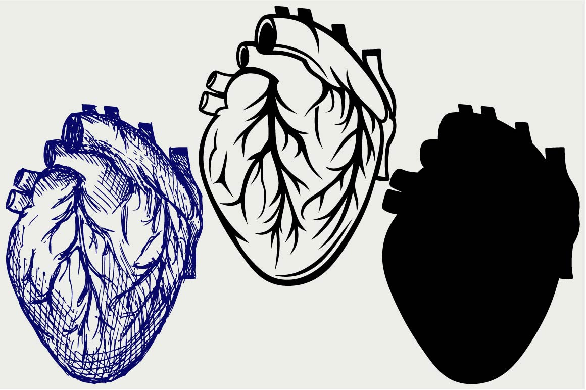 Download Human heart SVG ~ Icons ~ Creative Market