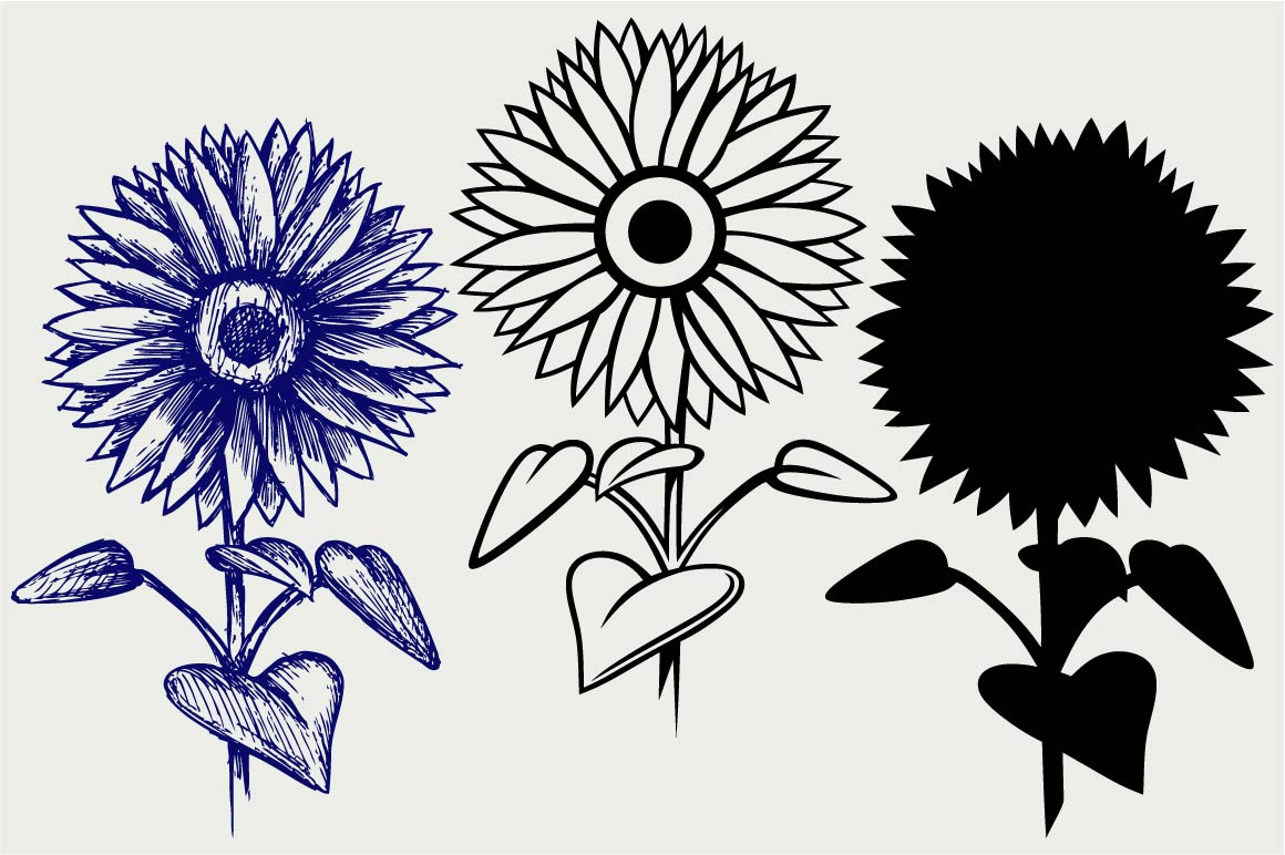 Download Beautiful sunflower SVG ~ Icons ~ Creative Market