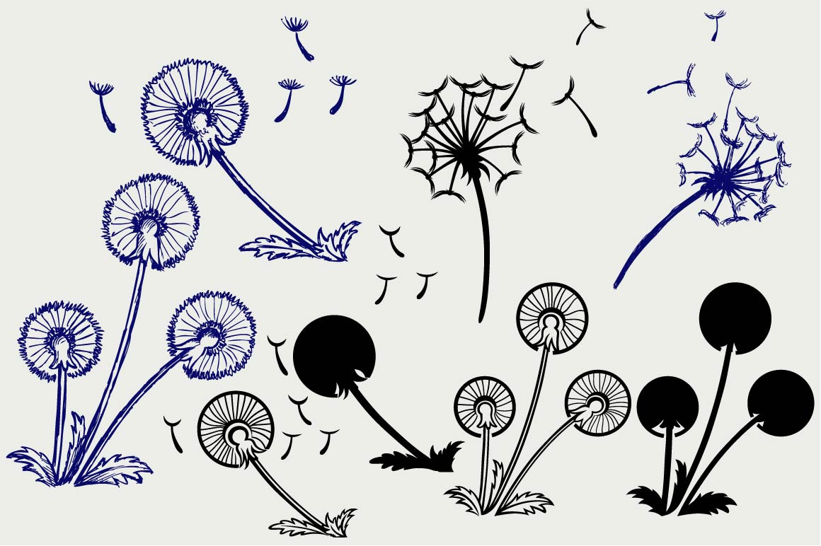 Blow Dandelion SVG ~ Icons ~ Creative Market