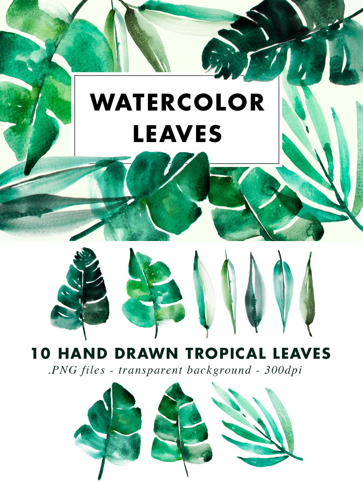 themes tumblr portfolio jungle tropical ~ leaves Watercolor Illustrations