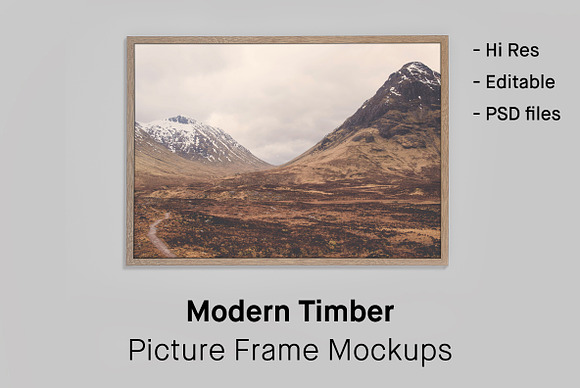 Download 4 Picture Frame Mockups