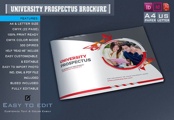 What is typically included on a prospectus?