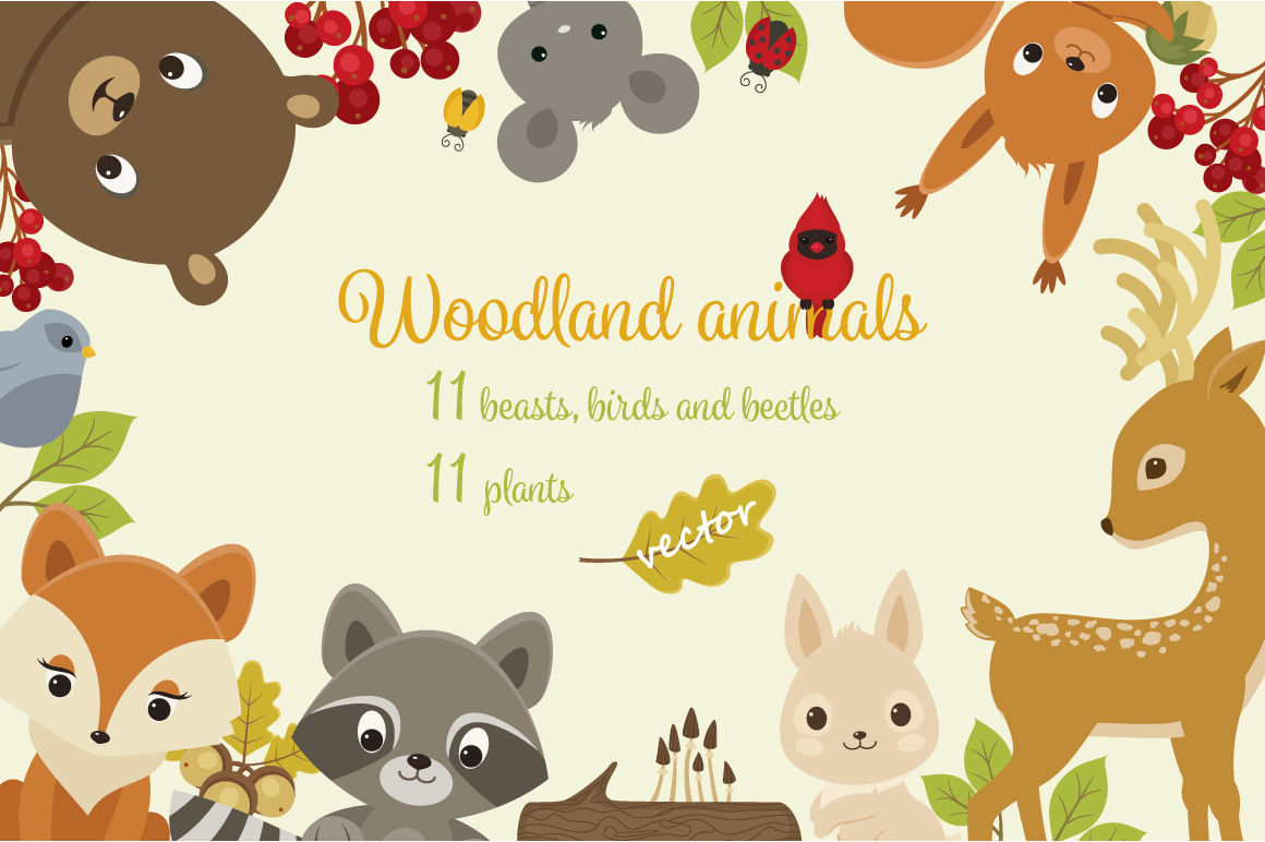 Woodland Animals Set ~ Illustrations ~ Creative Market