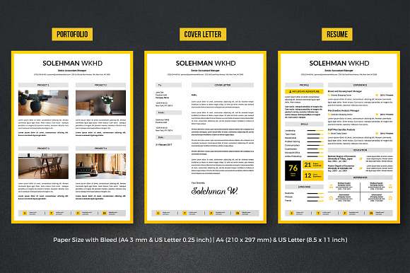 Complete Resume Vol 5 in Resume Templates - product preview 1
