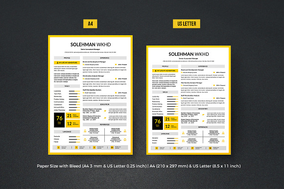 Complete Resume Vol 5 in Resume Templates - product preview 3