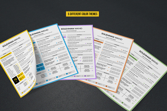 Complete Resume Vol 5 in Resume Templates - product preview 4