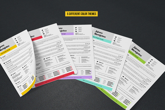 Complete Resume Vol 10 in Resume Templates - product preview 4