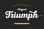 Download Triumph Regular Pack -30% Script Font