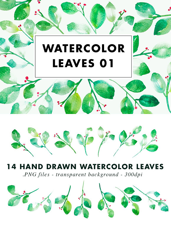 watercolor leaves clipart - photo #35