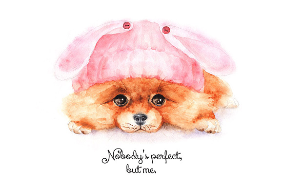Watercolor Little Dog in Illustrations