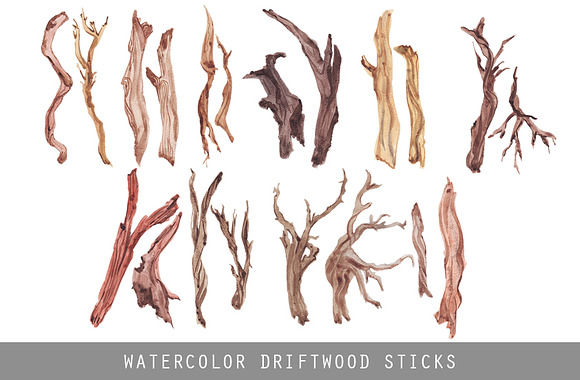 Watercolor Driftwood Sticks