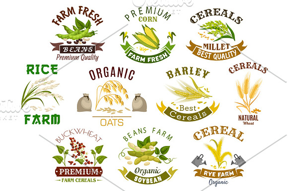 Grain And Cereal Product Vector Isolated Icons