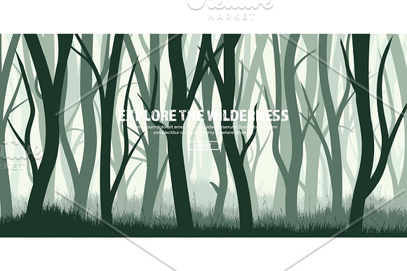 Trees Set Wild Pine Forest Nature Background Wood.Vector Illustration.Banner Dark Green Tree Landscape.Grass Meadow