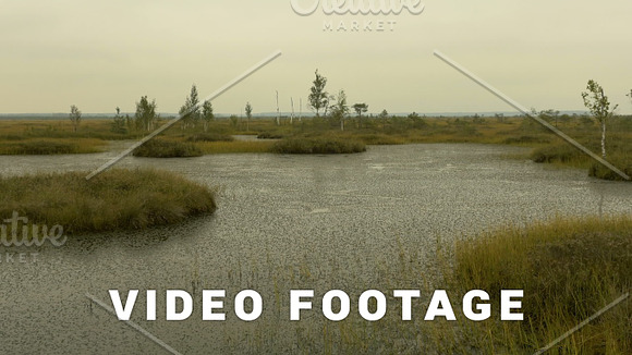 Island In The Swamp Of The Wildlife Reserve Autumn Daytime Smooth Dolly Shot