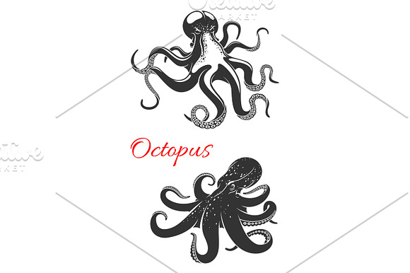 Octopus Marine Animal Icon Set For Tattoo Design
