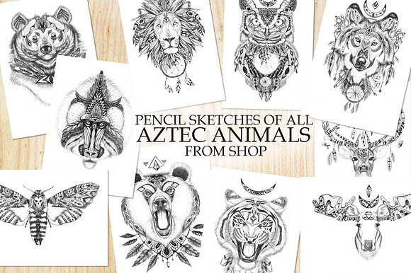 All Aztec Animals Pencil Sketches