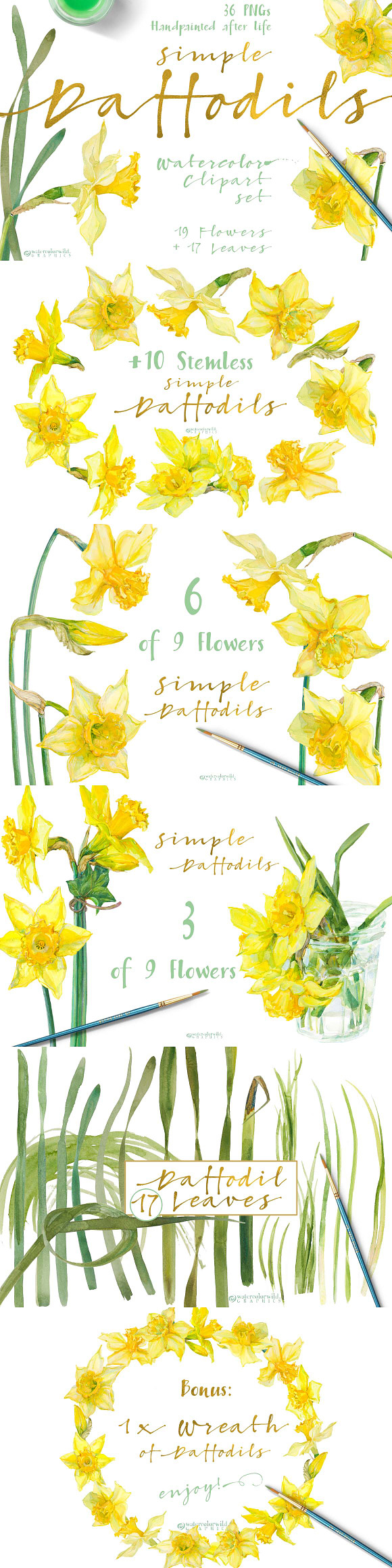 Simple Daffodils