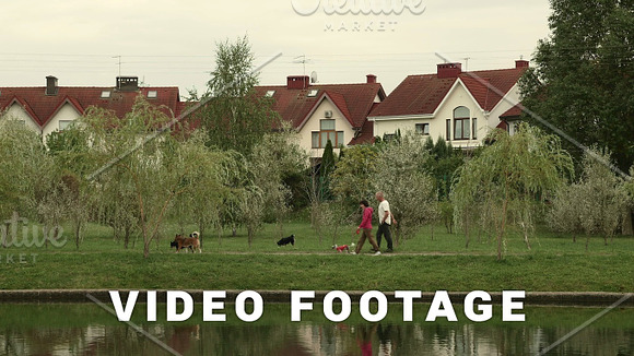Adult Couple Walks With The Dogs Autumn Daytime Smooth Dolly Shot