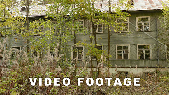 Overgrown House In The Forest Autumn Daytime Smooth Dolly Shot