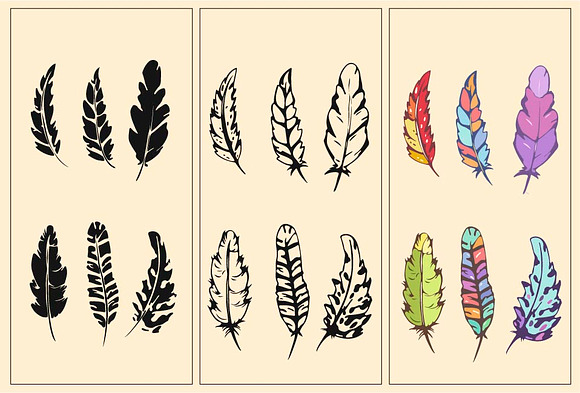 Feathers Set Vector Illustration