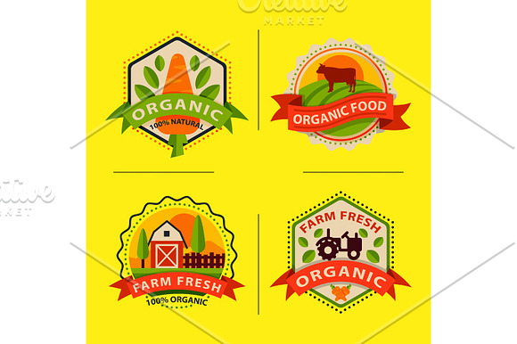 Flat Style Of Bio Organic Eco Healthy Food Label Logo Template And Vintage Vegan Farm Element In Orange Green Color Badge Vector Illustration