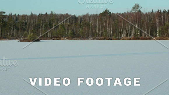 Winter Forest On The Frozen Lake Clean And Frosty Daytime Smooth Dolly Shot
