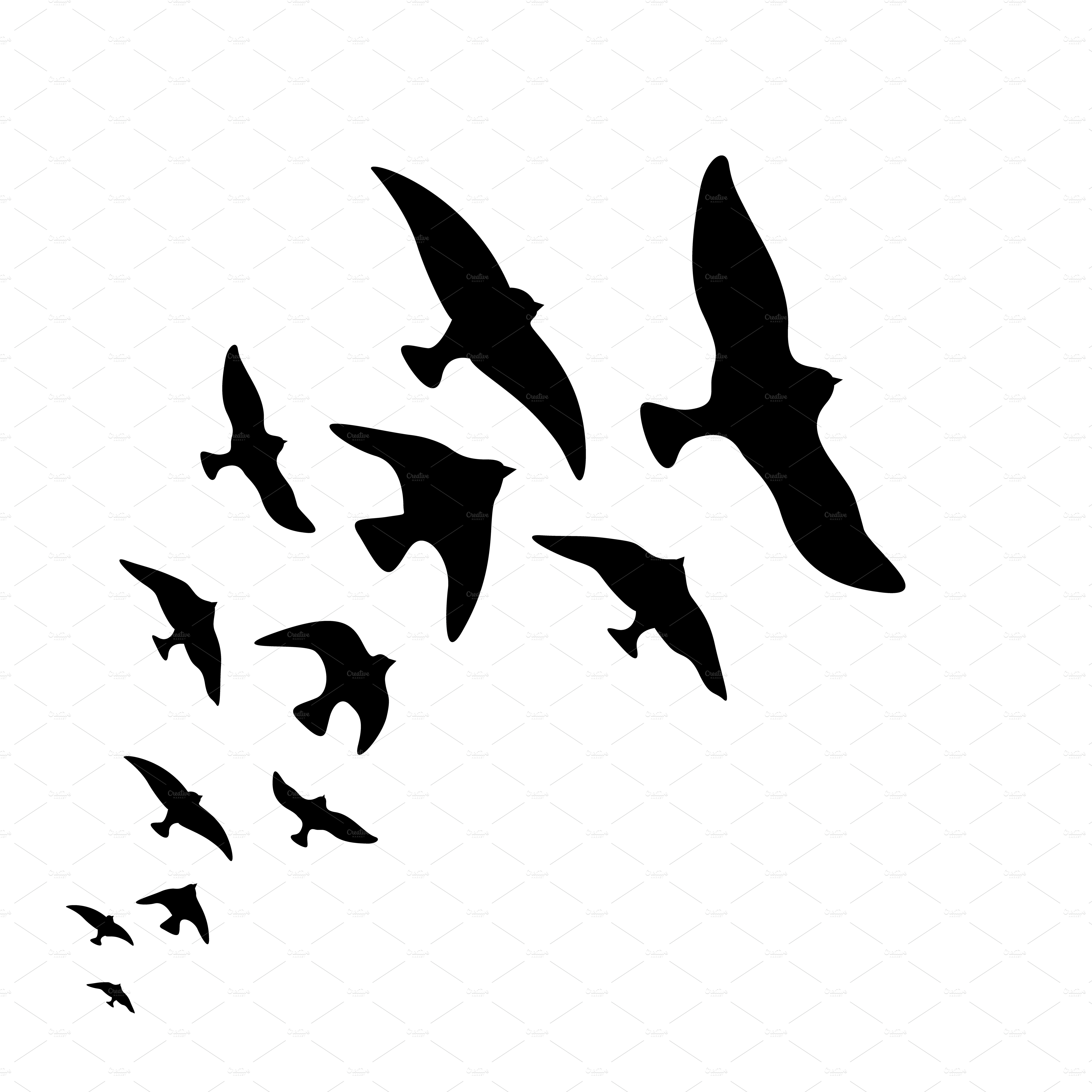 Download Vector flock of flying birds ~ Illustrations ~ Creative Market