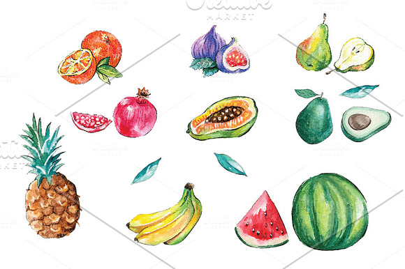 Watercolor Fruits Clip Art in Illustrations - product preview 1