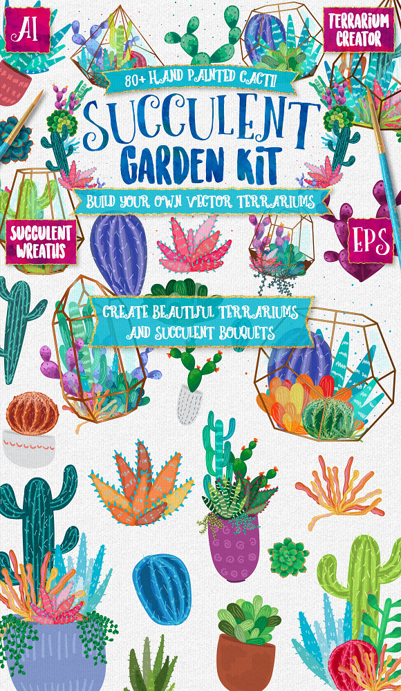 Succulent & Cacti Graphics Pack in Illustrations