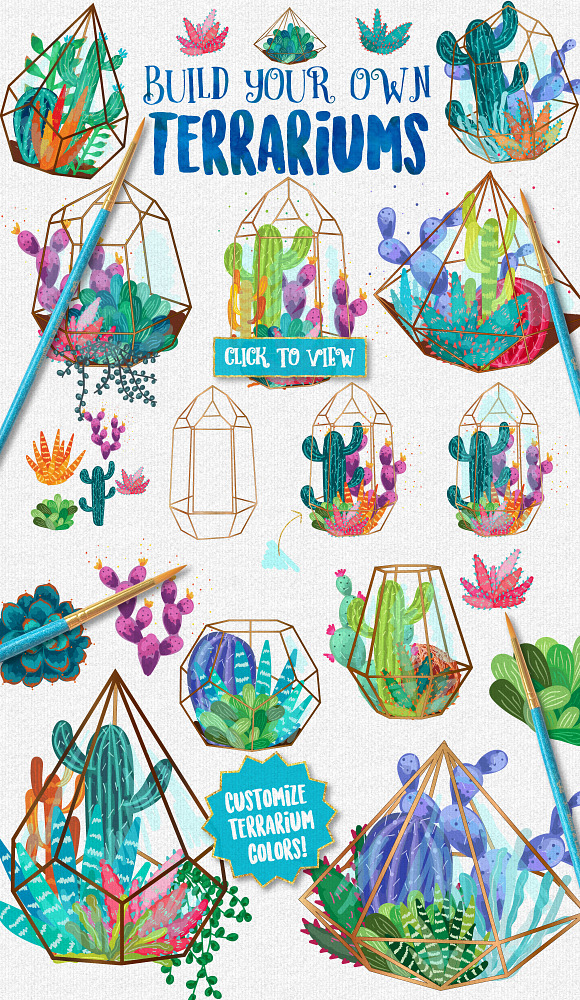 Succulent & Cacti Graphics Pack in Illustrations - product preview 1