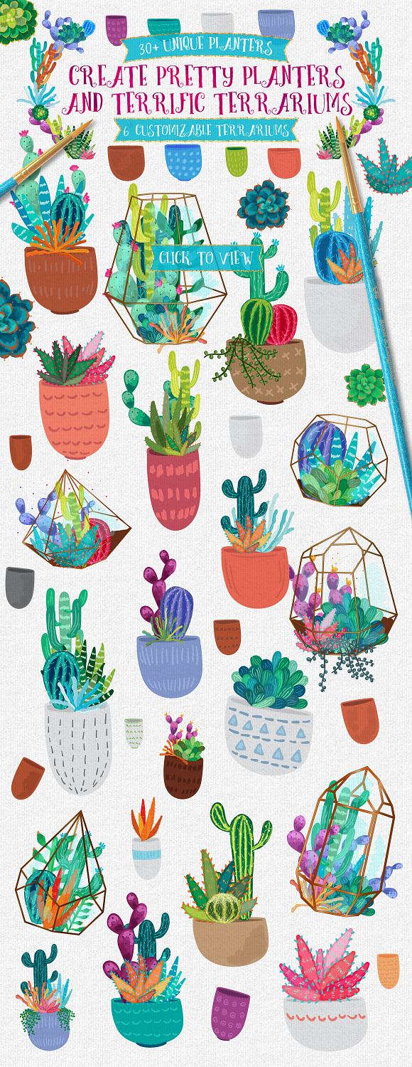 Succulent & Cacti Graphics Pack in Illustrations - product preview 2