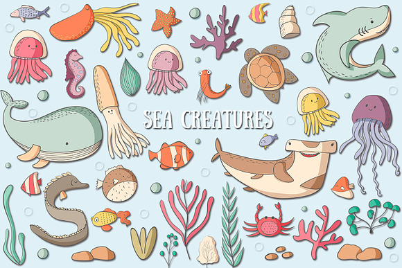 Sea Creatures in Illustrations