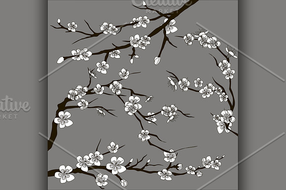 Wallpaper Garskin Bunga Sakura Polarview Net