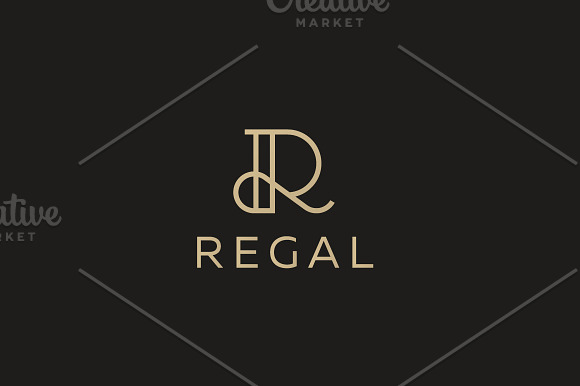 Elegant Line Curve Vector Logotype Premium Letter R Logo Design